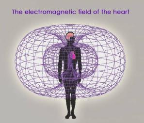 Electromagnetic Field of the Heart