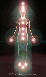 Chakras of a human body